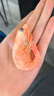 美加佳大號熟凍北極甜蝦腹籽凈重3斤 規格80/100  熟凍甜蝦 海鮮水產(chǎn) 曬單實(shí)拍圖