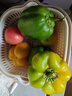 現(xiàn)摘新鮮圓辣椒超市即食太空椒皮厚肉多不辣水果燈籠椒 2斤普通裝 2斤 曬單實(shí)拍圖