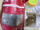 1號會(huì )員店 烏骨雞2斤 新鮮供港農家散養烏雞十全土雞走地雞月子雞110天以上 曬單實(shí)拍圖