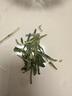 陽春西湖龍井茶葉2025綠茶新茶春茶明前龍井250g自己喝送禮豆香型龍井袋裝 曬單實拍圖