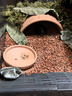 龜友天下烏龜缸黃緣專(zhuān)用飼養箱造景生態(tài)大號缸水陸兩棲半水龜躲避龜缸家用 黃緣龜生態(tài)缸透明灰套餐(帶排水) 曬單實(shí)拍圖
