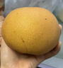 京地達山東萊陽(yáng)秋月梨5.4斤起6粒單果450g水果禮盒京東自營(yíng)源頭直發(fā)包郵 曬單實(shí)拍圖