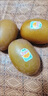 佳沛（zespri）新西蘭  陽(yáng)光金果25-27粒原箱單果122-146g  中秋水果禮盒 獼猴桃 曬單實(shí)拍圖