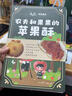 君恬果園農夫和果果的蘋(píng)果酥禮盒裝送禮煙臺特產(chǎn)伴手禮點(diǎn)心零食 蘋(píng)果酥4盒送煙臺禮物鐳射袋 曬單實(shí)拍圖
