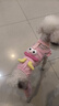MIKI PAD狗狗衣服小型犬貓衣服秋冬季保暖可牽引外出背帶褲比熊泰迪雪納瑞 大眼仔背帶褲 S背長(cháng)25cm（參考體重3-6斤） 曬單實(shí)拍圖