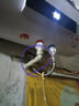 榮事達(dá)（Royalstar）80升電熱水器2100W速熱家用儲(chǔ)水式衛(wèi)生間洗澡機(jī)小戶型 家電國家補(bǔ)貼 安全耐用 節(jié)能省電RSD-E1-80 曬單實(shí)拍圖