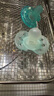 新安怡（AVENT）飛利浦進口安撫奶嘴新生嬰兒防脹氣0-6-18個月寶寶硅膠奶嘴馬卡龍  0-6個月 1只裝 馬卡龍藍 曬單實拍圖