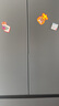 海爾（Haier）「小紅花2.0」550升法式多門雙系統(tǒng)雙凈化家用電冰箱大容量一級能效國家補貼BCD-550WGHFDC9GYU1 曬單實拍圖