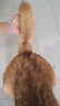 超可信（NexGard SPECTRA）狗狗進口驅蟲藥中型犬M號體內(nèi)外同驅去跳蚤蜱蟲原研藥3片裝 曬單實拍圖