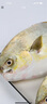 翔泰 海南金鯧魚(yú)凈重900g 2條裝  魚(yú)類(lèi)生鮮 火鍋食材 海鮮水產(chǎn) 中秋 曬單實(shí)拍圖