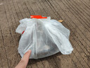 肉鮮廚師 新西蘭原切鹿腿肉凈重2斤 新鮮梅花鹿腿肉 曬單實拍圖