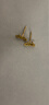 周六福蝴蝶結黃金耳釘女足金耳飾生日禮物 計價(jià)A0914000 一對 約1.9g  曬單實(shí)拍圖