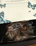 Royal sasa皇家莎莎韓國發(fā)飾絹紗頭花水晶盤發(fā)丸子頭頭繩馬尾辮皮筋大腸發(fā)圈 咖色CO 曬單實(shí)拍圖