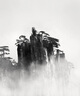 愛視易耳塞防噪音睡覺睡眠專用超級隔音不傷耳朵強(qiáng)降噪靜音防吵 灰色4對 曬單實(shí)拍圖