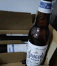青島啤酒（TsingTao）全麥白啤 原麥汁濃度10°P  500ml*12瓶 整箱裝 中秋節(jié)送禮 曬單實拍圖