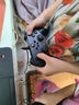 北通蝙蝠2游戲手柄有線(xiàn)任天堂PC電腦steam雙人成行ns電視switch2絕區(qū)零地平線(xiàn)5黑神話(huà)悟空明末地平線(xiàn)5 【北通蝙蝠B(yǎng)D2E】有線(xiàn)黑 曬單實(shí)拍圖