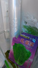 北蔬 蔬菜種子種苗大全生菜香菜菠菜秋季陽臺菜籽 6種葉菜類蔬菜種子 曬單實拍圖