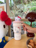Hello Kitty冰霸杯大容量保溫杯女生日禮物316不銹鋼車載吸管杯保冷夏季水杯 H-hellokitty700ml（禮盒裝） 曬單實(shí)拍圖