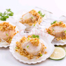 獐子島 冷凍蒜蓉粉絲扇貝 凈重600g 18只 燒烤食材 生鮮 海鮮水產(chǎn)  曬單實(shí)拍圖