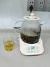奧特優(yōu)（AOTEYOU）養(yǎng)生壺?zé)踔髩匾惑w煮茶壺?zé)畨厝ＡюB(yǎng)生壺小型一人熱水壺迷你養(yǎng)生壺全自動(dòng)辦公室花茶恒溫?zé)畨?【標(biāo)準(zhǔn)款】12小時(shí)恒溫丨24小時(shí)預(yù)約丨 1.2L 曬單實(shí)拍圖