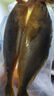 鴻順三去黃花魚(yú)800g/2條 去鱗去腮去內臟 生鮮魚(yú)類(lèi) 海鮮 大黃魚(yú) 曬單實(shí)拍圖