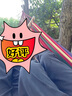 魔鐵（MOTIE）吊床戶外露營雙人帆布吊床彎木防側(cè)翻室內(nèi)秋千加寬加厚2.5m*1.5m 曬單實拍圖