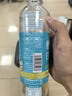 三得利（Suntory）【新品上市】清新柔和 枇杷花白茶 0糖0脂0能量 500ml*15 曬單實拍圖