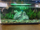 米家（MIJIA）智能生態(tài)魚(yú)缸定時(shí)喂食智能魚(yú)缸+畫(huà)法幾何增氧泵套裝 曬單實(shí)拍圖