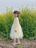 皮爾卡丹（pierre cardin）童裝女童連衣裙春秋2025新款女寶寶春季兒童網(wǎng)紗裙子春裝長(cháng)袖公主 米色 110 尺碼4~5歲【100-110cm】 曬單實(shí)拍圖