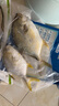 翔泰 海南金鯧魚凈重900g 2條裝  魚類生鮮 燒烤 火鍋食材 海鮮水產(chǎn) 曬單實拍圖