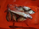 北翔全金屬紡車輪路亞漁輪遠(yuǎn)投無(wú)間隙魚輪大全釣魚輪子海竿海桿磯釣輪 美式Ac金屬搖臂線杯 3000系列 曬單實(shí)拍圖