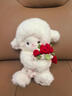 法莫奇毛絨玩具手捧玫瑰花小羊玩偶泰迪熊可愛(ài)公仔告送女友生日新年禮物 藍玫瑰小羊磁吸款 30cm【0.25kg】 曬單實(shí)拍圖