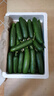 山東壽光水果黃瓜生吃脆新鮮荷蘭青瓜當季無(wú)刺小黃瓜源頭直發(fā) 精品水果黃瓜凈重 4.5斤 曬單實(shí)拍圖