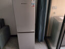 上菱183升雙開(kāi)門(mén)冰箱小型出租房2-3人用 出租屋家用兩門(mén)二門(mén)小戶(hù)型雙門(mén)電冰箱以舊換新BCD-183D 曬單實(shí)拍圖