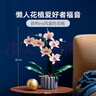 樂(lè)高（LEGO）積木拼裝10311 蘭花永生花男孩女孩女生玩具七夕情人節(jié)禮物 曬單實(shí)拍圖