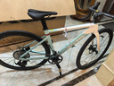 喜德盛公路車25-AD350碳纖前叉功率計齒盤鋁合金氣動車架 流光青 480 曬單實拍圖