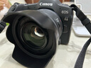 JJC 適用佳能RF 50mm f/1.8 STM遮光罩 定焦小痰盂43mm鏡頭R7 R10 R50 RP 曬單實拍圖