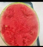 京覓 美都西瓜 4-5斤 1粒裝 帶籽西瓜 頭茬瓜 新鮮水果 源頭直發(fā) 曬單實(shí)拍圖