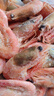 豪鮮品生鮮【25年新蝦】丹麥北極甜蝦(MSC認證)熟凍冰蝦 90/120規格 凈重3斤 曬單實(shí)拍圖