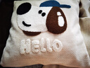 優(yōu)只可愛(ài)卡通抱枕簡(jiǎn)約沙發(fā)抱枕套兒童房飄窗靠枕ins抱枕腰枕床上靠墊 多巴胺大鼻子狗正方45x45cm 0cm*0cm 枕套 單獨 曬單實(shí)拍圖
