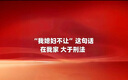 提拉米（TLAMEE）源生高含量含賴(lài)氨酸乳鐵蛋白兒童調制乳粉  全人群適用 60g 曬單實(shí)拍圖