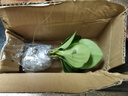 綠有意金鉆盆栽植物水培綠植花卉多肉辦公室內(nèi)去吸除甲醛鉑金鉆綠公主 推薦款】金鉆25-30cm3棵(早安盆) 含盆 曬單實(shí)拍圖