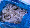 鮮京采 厄瓜多爾白蝦 凈重3斤/盒 特大號20-30規(guī)格   30-45只/盒 曬單實拍圖