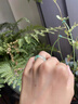 天然非洲翠獨(dú)龍玉冰飄花戒指男女戒圈素圈情侶正品指環(huán)高端戒指 內(nèi)徑16mm 曬單實(shí)拍圖