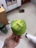 京鮮生 秘魯進(jìn)口牛油果特大果6粒裝 單果180g+(非即食)  新鮮水果 曬單實(shí)拍圖