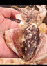 繽鮮 墨魚(yú)干干貨特級(jí) 目魚(yú)干北海淡干特大墨魚(yú)干 滋補(bǔ)海水墨魚(yú)干煲湯 大號(hào)墨魚(yú)干 凈 250g 曬單實(shí)拍圖