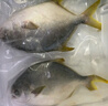 翔泰海南深海金鯧魚(yú)700g 2條 火鍋 生鮮魚(yú)類(lèi) BAP認證 海鮮水產(chǎn) 中秋 曬單實(shí)拍圖