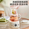 蘇泊爾（SUPOR）迷你養(yǎng)生杯養(yǎng)生壺煮茶器 0.4L辦公室家用便攜煮茶壺恒溫?zé)畨仉娝畨?一人小型花茶壺 SW-04Y23 曬單實拍圖