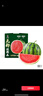 曉吸無(wú)籽麒麟瓜 4kg 曬單實(shí)拍圖