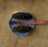 宮品 海管家 大連淡干海參 有機(jī)認(rèn)證 底播放養(yǎng)遼刺參 15-25只 200g*1盒 大海參王 曬單實(shí)拍圖